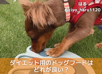ダイエット用のドッグフードはどれが良い?選び方やランキングを解説-サムネイル画像